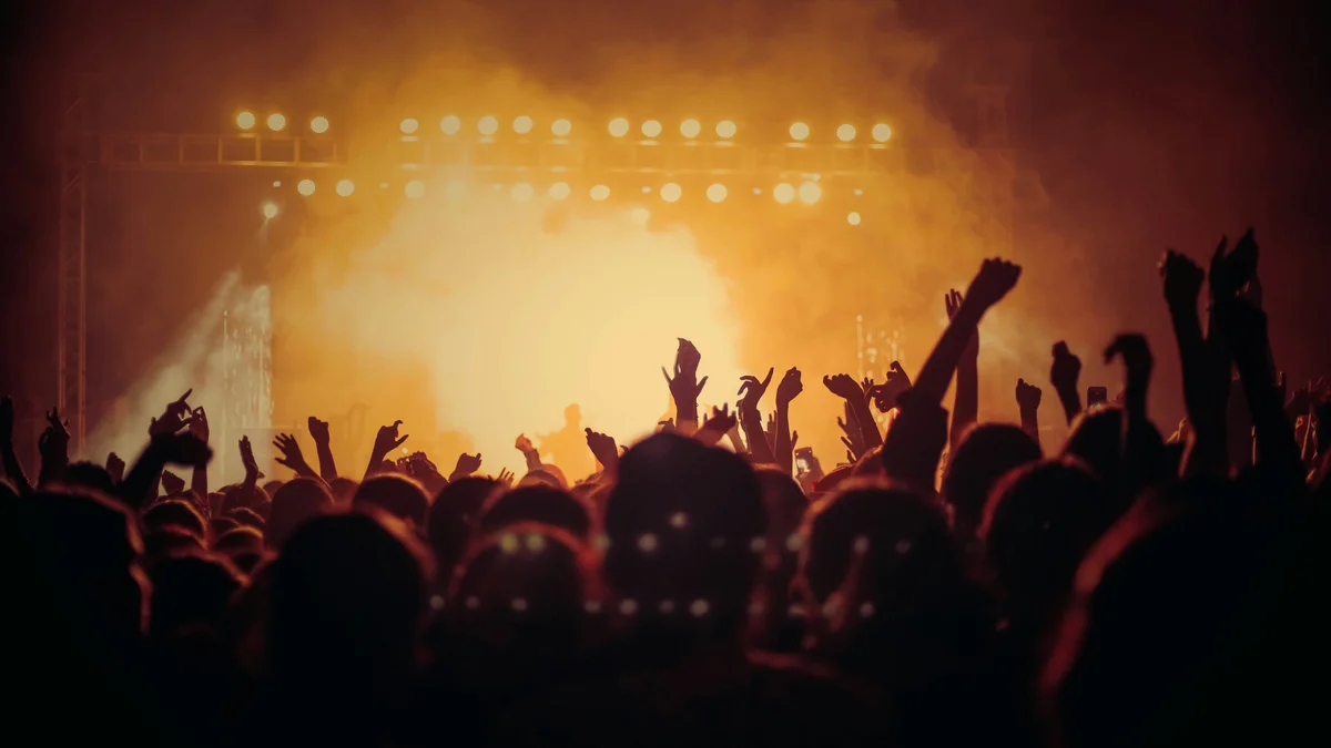 "Growing Your Electro Music Fanbase: A Comprehensive Guide"
